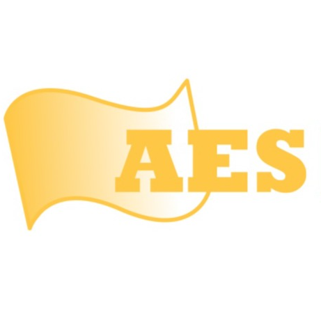 American Efficiency Services Company logo